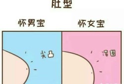 胎儿右边动是男还是女（胎儿右边动是男还是女）