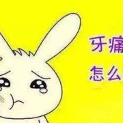 备孕期间牙疼能吃药治疗吗,备孕期间上火怎么办