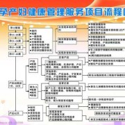 孕期的宣教（孕产妇健康管理服务内容）