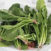 孕中期可以吃菠菜吗,孕期吃菠菜的好处