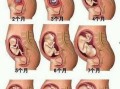 孕33周头位胎动变化是怎么样的?胎儿是不是在妈妈的肚子里转动呢,怀孕胎儿的变化过程