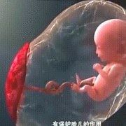 三个月胎儿会有胎动吗,三个月胎儿会胎动吗?
