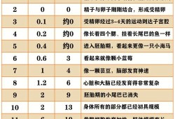 60多天胎儿（儿子66天了，体重10斤，身长60公分发育正常吗）