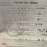 怀孕需要办理哪些证件,孕期流程表