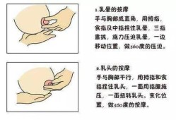 孕期乳房如何保养,孕期乳头保养注意事项