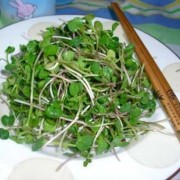 孕妇吃萝卜苗对胎儿好吗,白萝卜对孕妇的功效和作用