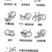 宝宝什么时候有胎动,胎儿几个月开始胎动明显
