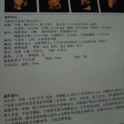 胎儿彩超ac（四维fl是什么意思啊）