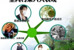 甲醛会导致胎儿（甲醛会导致胎儿畸形吗）