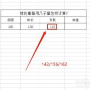 怎么计算胎儿体重计算器（怎样用尺寸计算猪的重量）