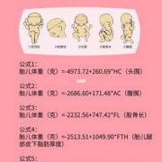 孕妇要学习怀孕的相关知识应该下载什么软件好,医生用的胎儿生长及胎儿体重计算软件