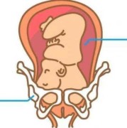 孕晚期胎儿入盆的症状（孕晚期胎儿入盆的症状有哪些）