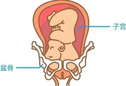 孕晚期胎儿入盆的症状（孕晚期胎儿入盆的症状有哪些）