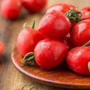 备孕期吃什么水果好（备孕期女性能吃西红柿吗）