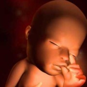 胎儿的（怀孕37周半夜胎儿在肚子里动的厉害是怎么回事）