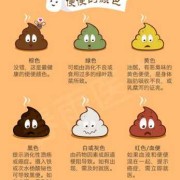 建档书上的颜色标志怎么分的,孕期的划分是什么