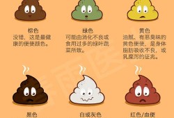 建档书上的颜色标志怎么分的,孕期的划分是什么