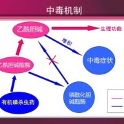 农药对胎儿的危害（农药对胎儿的危害有哪些）