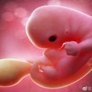 下怀胎儿图（下怀胎儿图片真实）