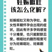怀孕期间呕吐（怀孕期间呕吐吃不下饭怎么办）