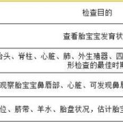 早中晚孕期（二级产前超声检查是什么）