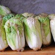 孕期梦见白菜（孕期梦见白菜什么意思）