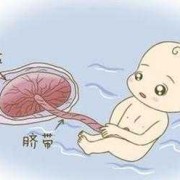 胎儿窒息（胎儿窒息）
