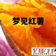 孕期梦见红薯（孕期梦见红薯）