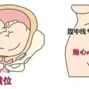 胎儿心跳在左边（胎儿心跳在左边是男孩女孩）