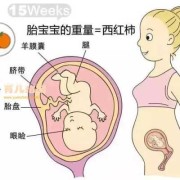 孕14周胎儿大小多少算正常,十四周的胎儿有多大图