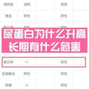 尿蛋白高会影响胎儿吗（尿蛋白高会影响胎儿吗）