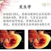 如何发现食管闭锁,胎儿食道闭锁的原因有哪些