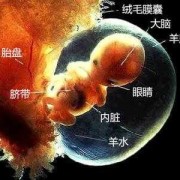 怎么判断羊水破没破？羊水破了的表现是什么,胎儿羊水少有什么症状表现
