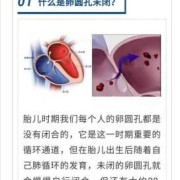 宝宝心脏卵圆孔未闭指什么,胎儿卵圆孔偏小怎么调养