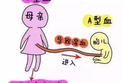 孕期没出过血（孕妇是O型血的话,需要做溶血检查吗）