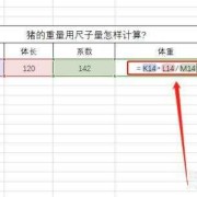 怎么计算胎儿体重计算器（怎样用尺寸计算猪的重量）