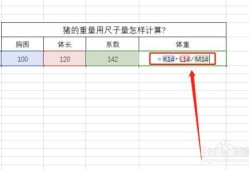 怎么计算胎儿体重计算器（怎样用尺寸计算猪的重量）