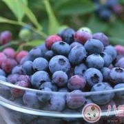 孕期吃蓝莓（孕期吃蓝莓有啥好处）