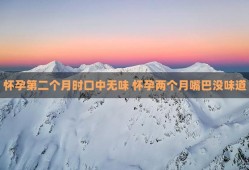 孕期口无味（孕期口无味）
