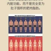怀孕之前我很瘦,为什么生宝宝后,越来越胖,如何恢复之前的身材,孕期太胖怎么减肥合适