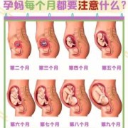 孕妇在怀孕期间需要注意些什么,孕期围保是什么意思