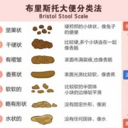 怀孕后大便次数多怎么回事,孕期排便次数多正常吗