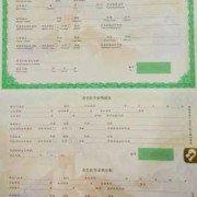 出生证上写的胎数是指,胎儿医学门诊都检查什么