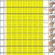 从2020年12月15号至2021年的12月15号一共多少周,胎儿15周有多大图片
