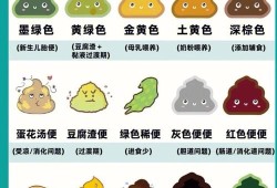 孕期大便多（孕妇一天大便三四次）