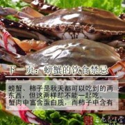同房后在等是否怀孕期间能不能吃螃蟹呢,备孕期间能吃螃蟹吗女性