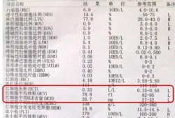 怀孕了什么情况需要去检查地中海贫血,孕期地贫检查最佳时期