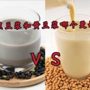 孕期黑豆浆（孕期黑豆浆和黄豆浆哪个更营养）
