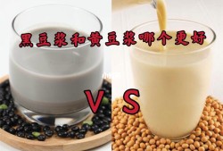 孕期黑豆浆（孕期黑豆浆和黄豆浆哪个更营养）