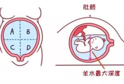 胎儿尿液排到哪里（胎儿尿液排到哪里去了）